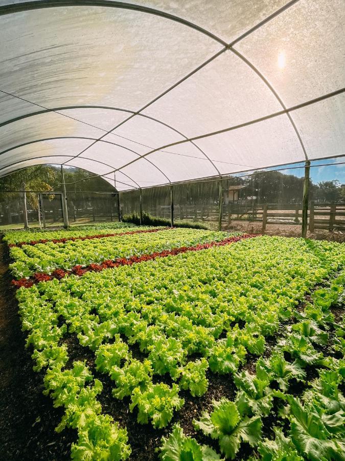 Virgínia Hotel Fazenda Vale Da Mantiqueira מראה חיצוני תמונה